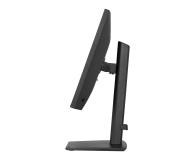 iiyama ProLite XB2491HS-B1 - 1518007 - zdjęcie 4